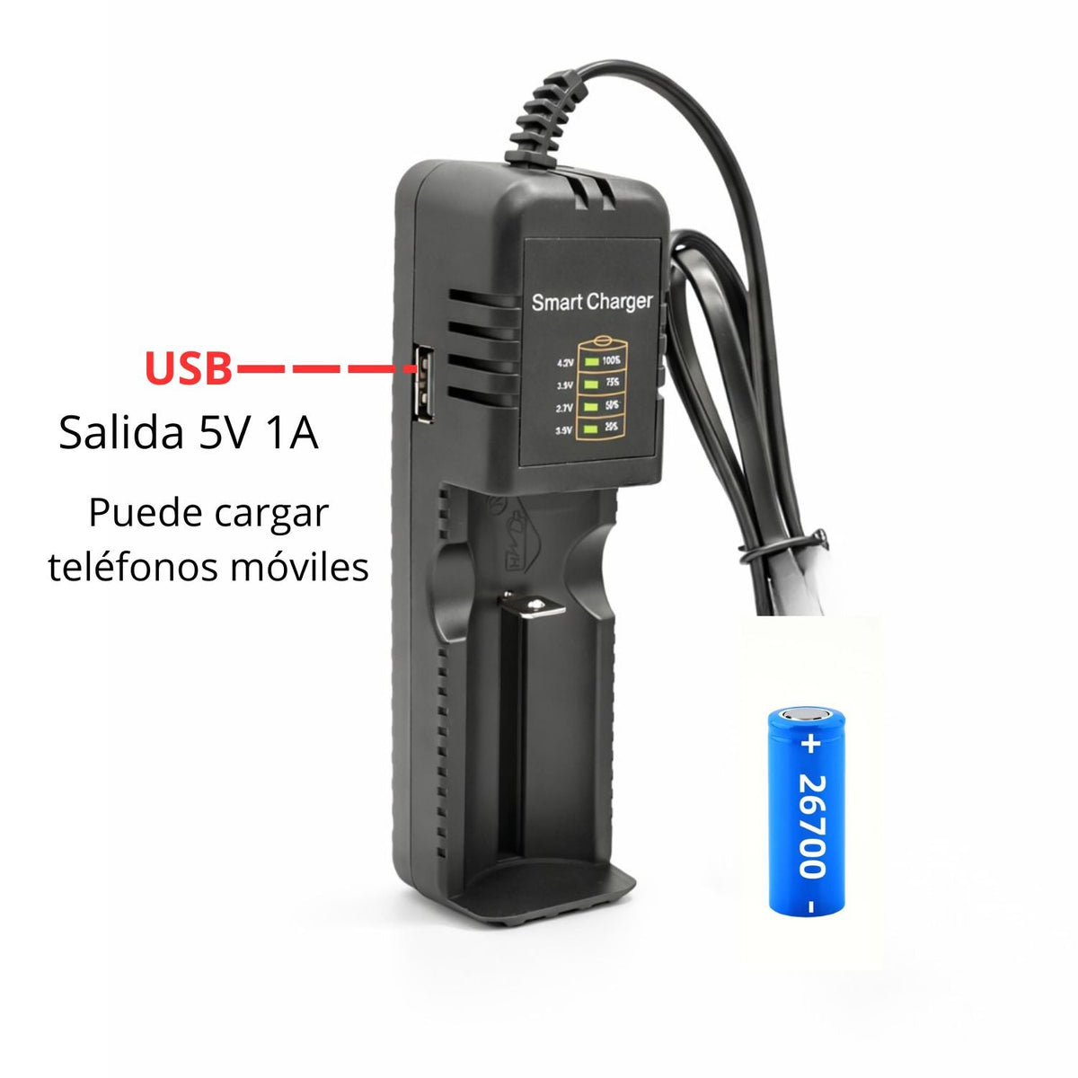 Cargador inteligente universal para baterías de litio 3.7 V con salida USB - foto 3