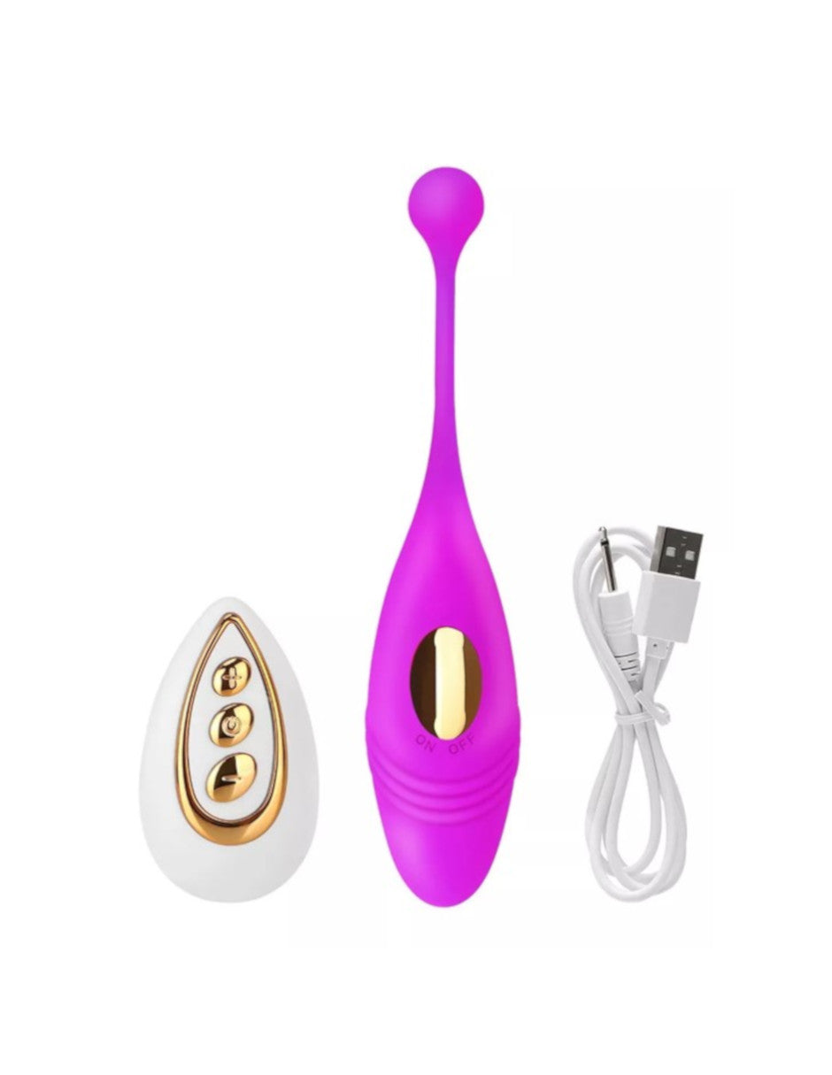 Vibrador De Control Remoto Inalámbrico En Forma De Huevo