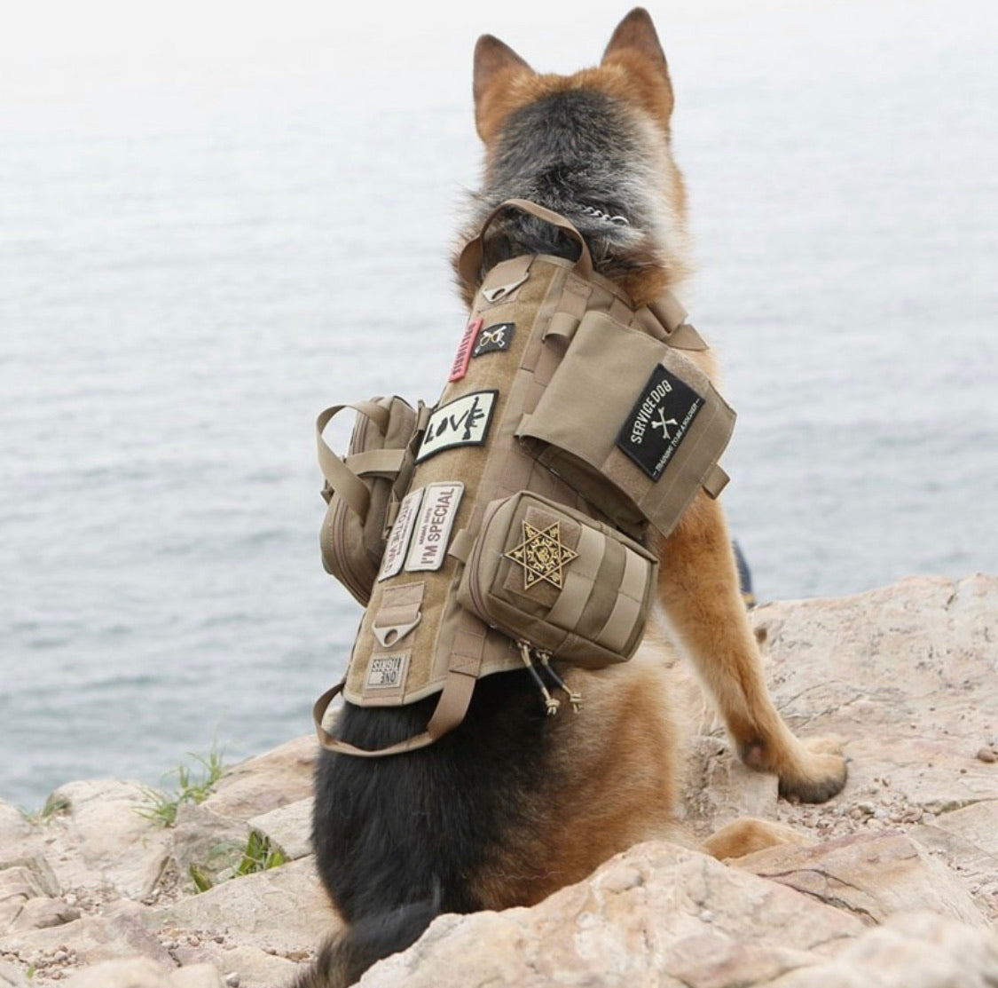 Chaleco táctico para perro con tres bolsas desmontables - foto 2
